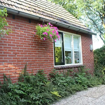 'T Hoeske Exloo Exterior photo